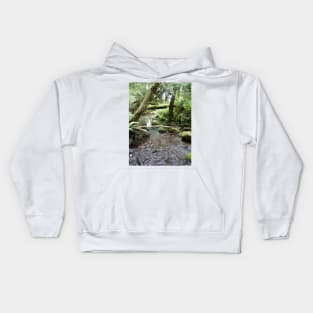 Fox Creek, Rainier, Oregon Kids Hoodie